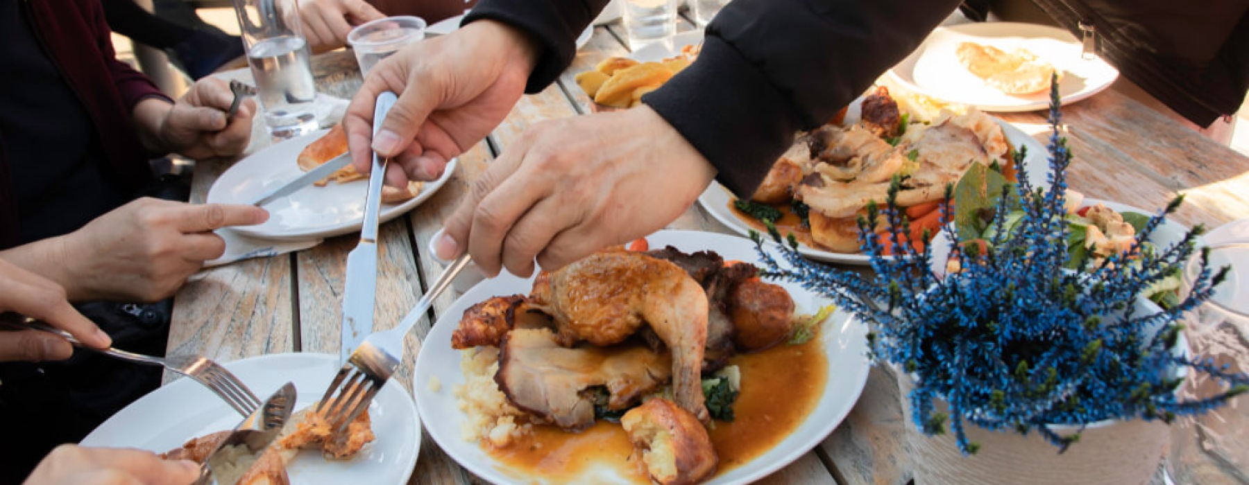 Best Cafes & UP Restaurants